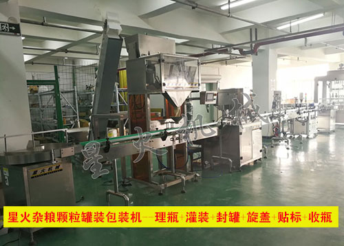 杂粮颗粒罐装包装机/全自动杂粮颗粒罐装包装机